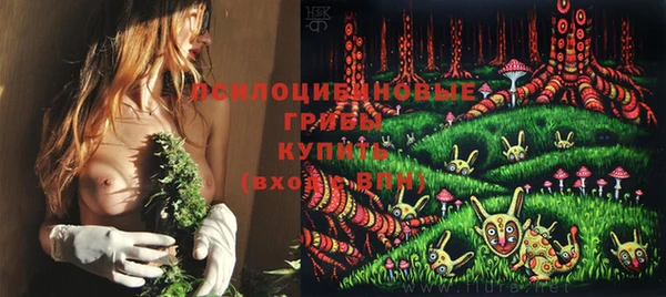 прущая мука Гусь-Хрустальный
