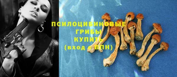 спиды Гусиноозёрск